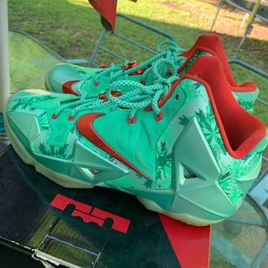 Lebron Christmas 11